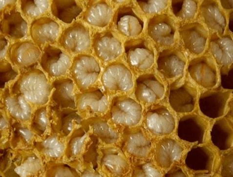 Produits d'apiculture